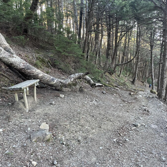 鳳凰山・地蔵岳・観音岳・薬師岳 杖立峠の下の唯一のベンチ🎶