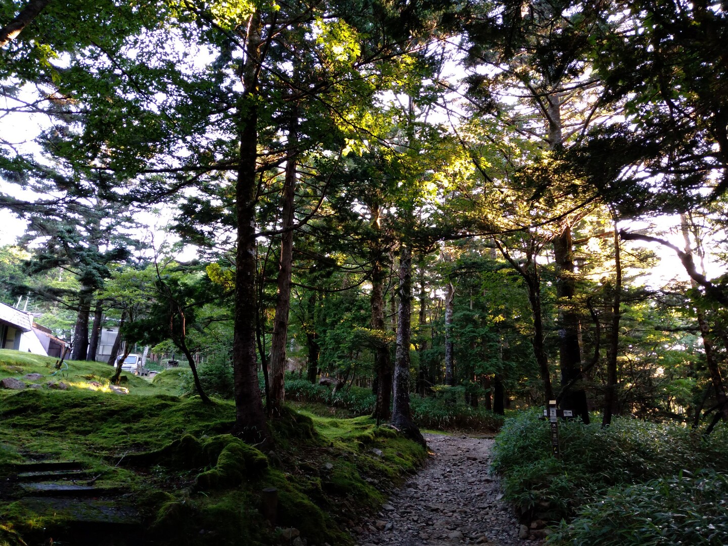 大台ヶ原で 星空と登山を楽しむ キッシーさんの大台ヶ原山 日出ヶ岳 大杉谷の活動日記 Yamap ヤマップ