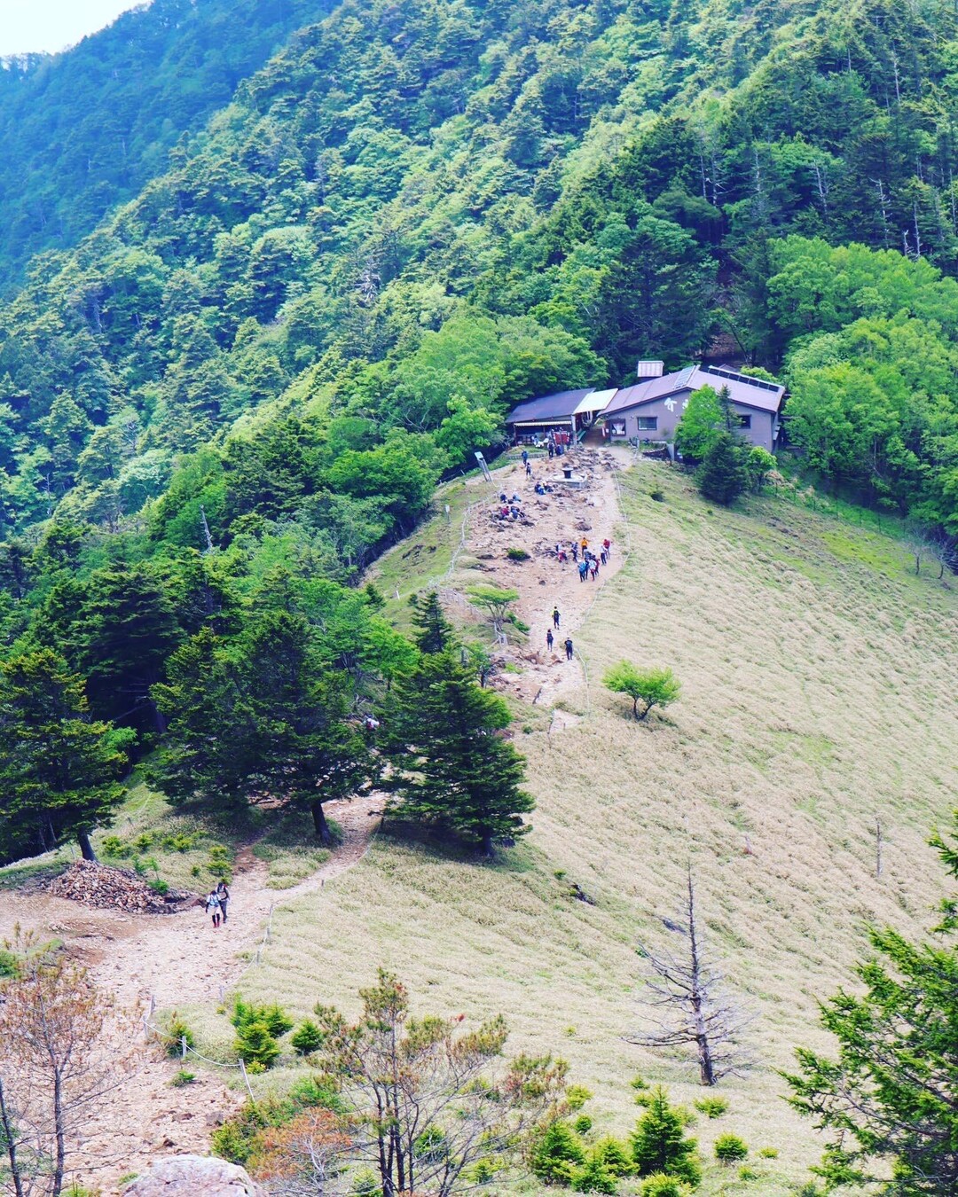 大菩薩嶺 妙見ノ頭 大菩薩嶺 鶏冠山 大マテイ山の写真10枚目 Yamap ヤマップ