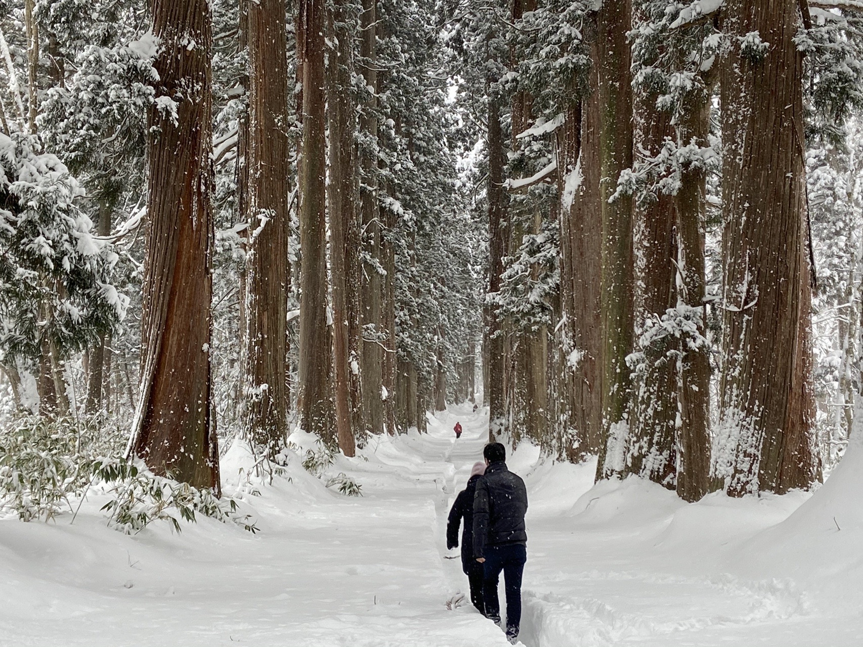 冬の戸隠神社 奥社 うゐさんの高妻山 戸隠山の活動データ Yamap ヤマップ