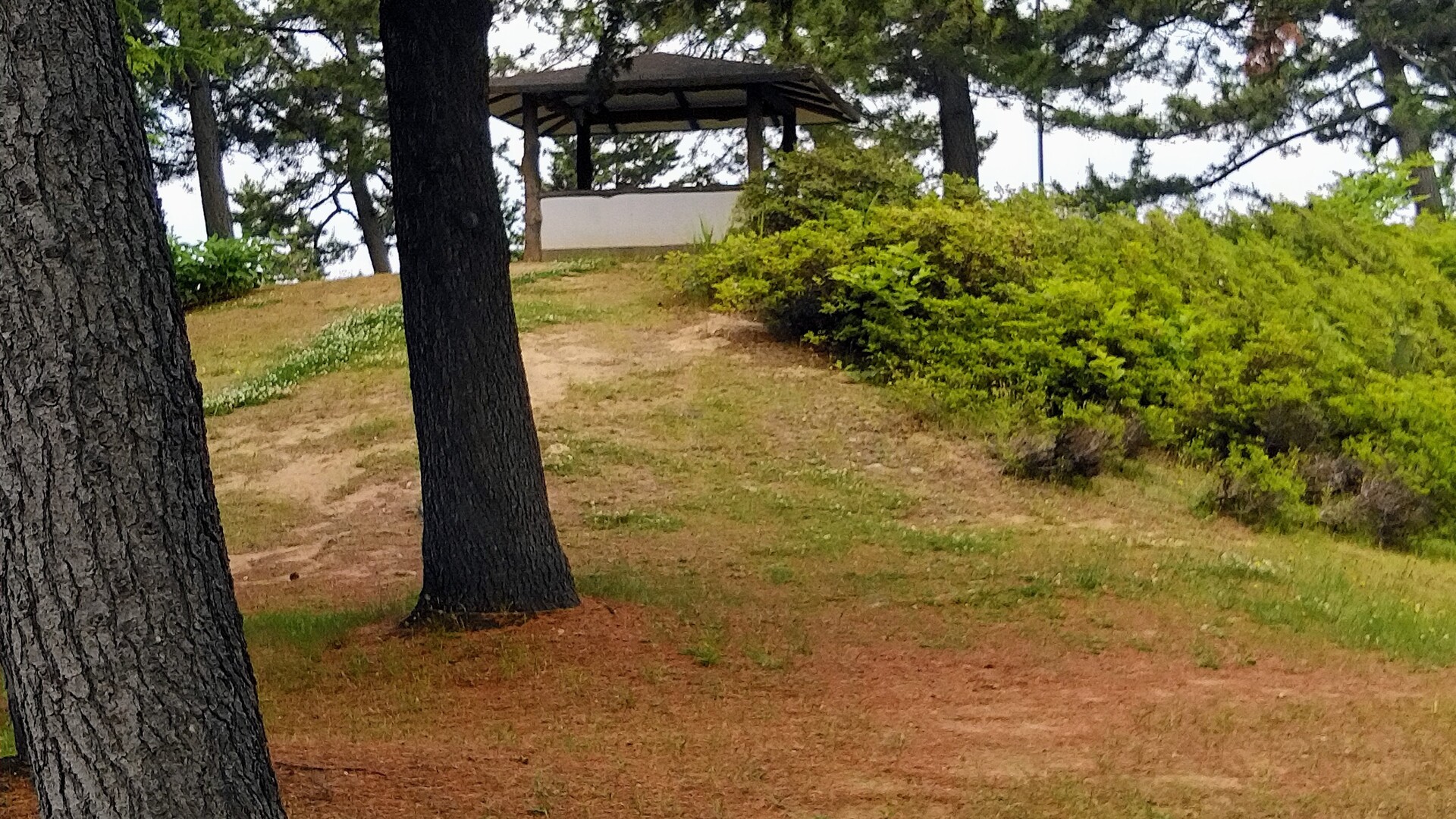 犬も歩ける三岳公園。 / ねこやなぎさんの弘前市の活動データ YAMAP / ヤマップ