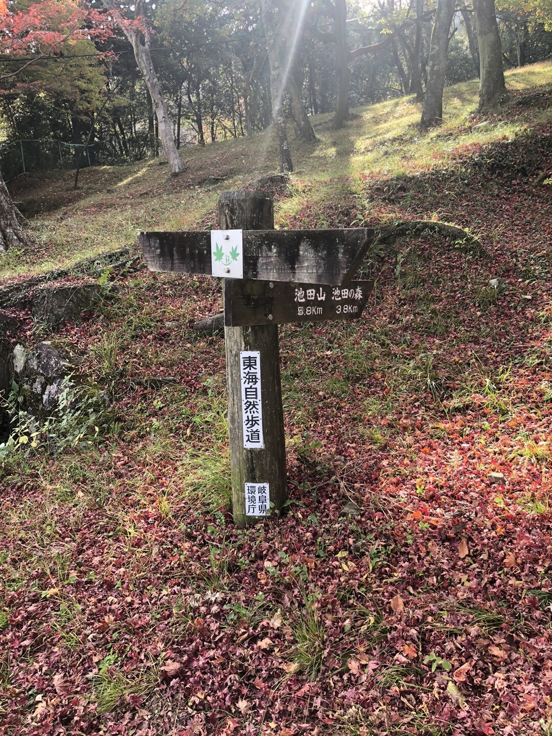 池田山(岐阜県)20201129 / てるてるぼうずさんの池田山の活動データ YAMAP / ヤマップ