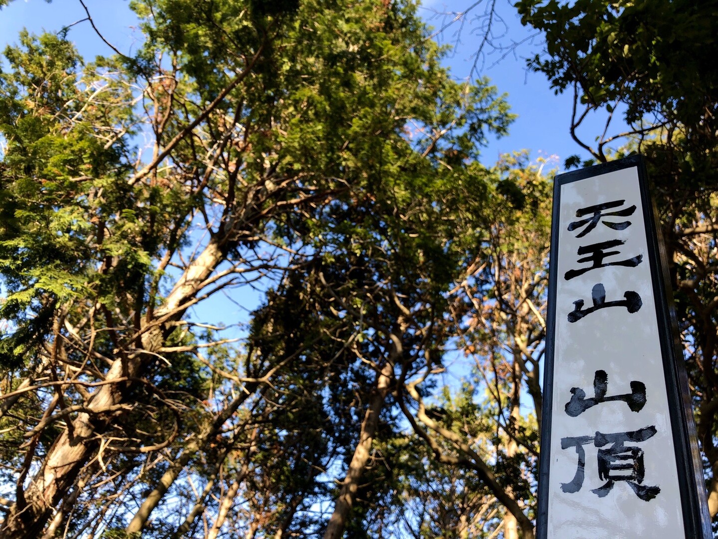 登り初めは天王山 / ヨシさんのポンポン山・釈迦岳・小塩山・若山の活動日記 | YAMAP / ヤマップ