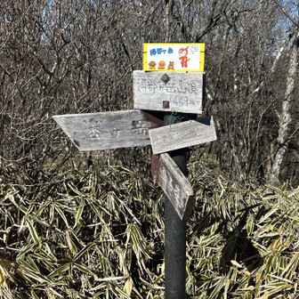 掃部ヶ岳登頂。🎉🎉🎉