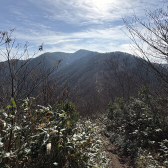 金剛堂山 栃谷登山口から3km辺り。金剛堂山が見えてきて、