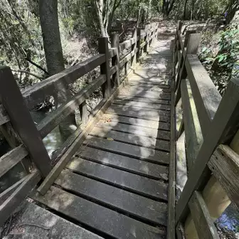 立派な木橋