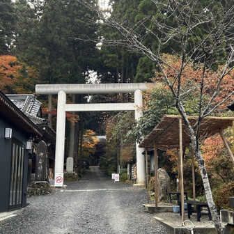 鳥居を潜って参道へ。歴史あるとても立派な神社。