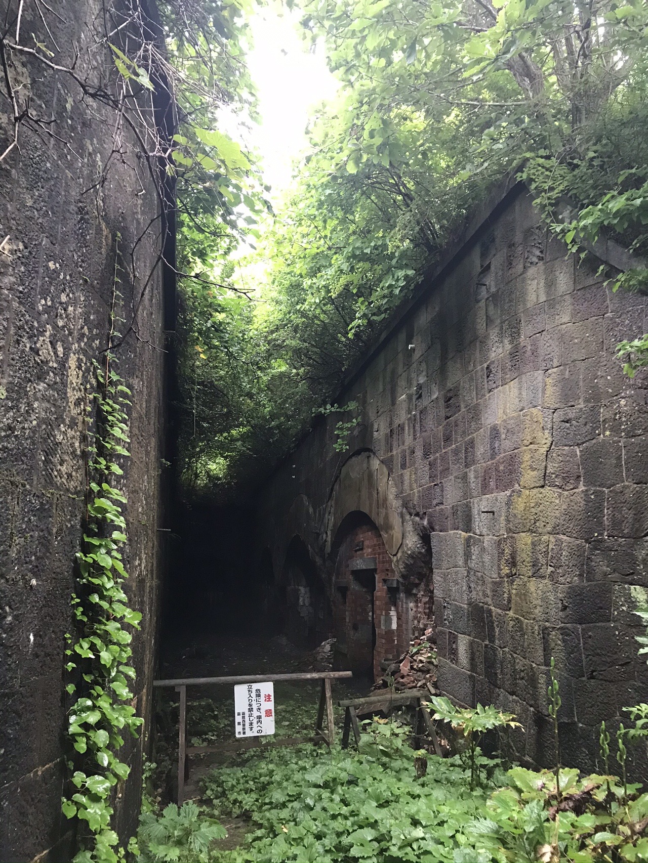 要塞発見 函館山 しまじさんの函館山の活動データ Yamap ヤマップ