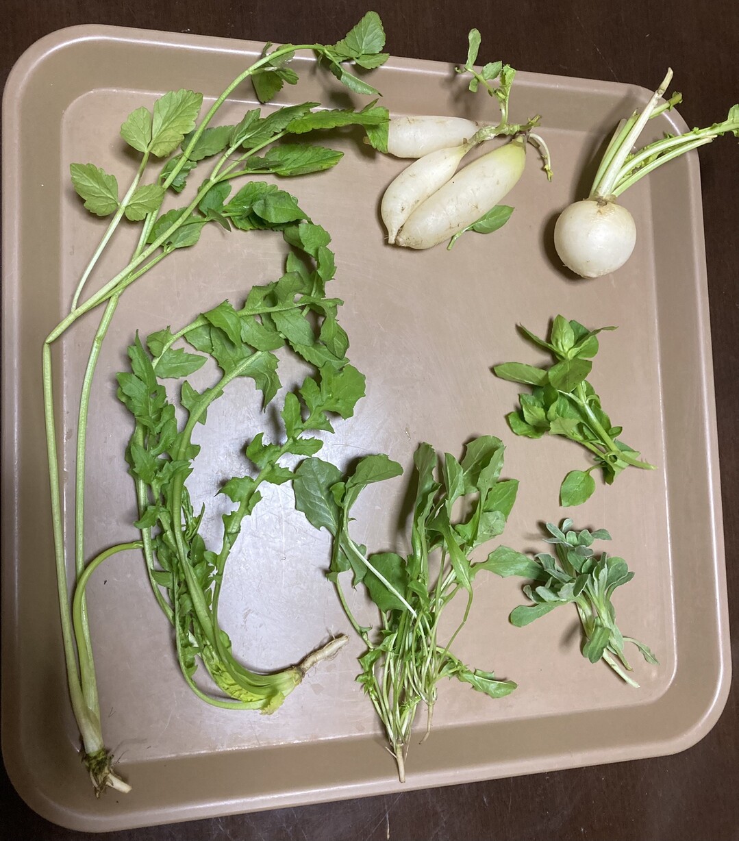 今日の朝食は七草粥 少々食べ過ぎ飲み過 Arisaさんのモーメント Yamap ヤマップ