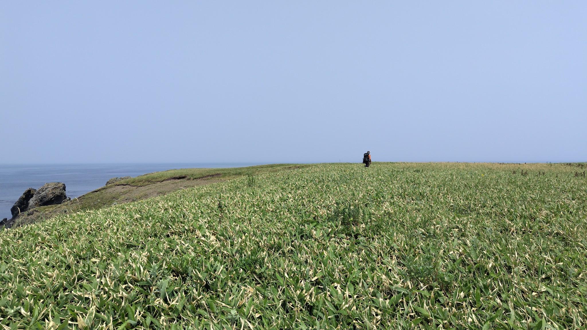 択捉島はかすんで見えず。