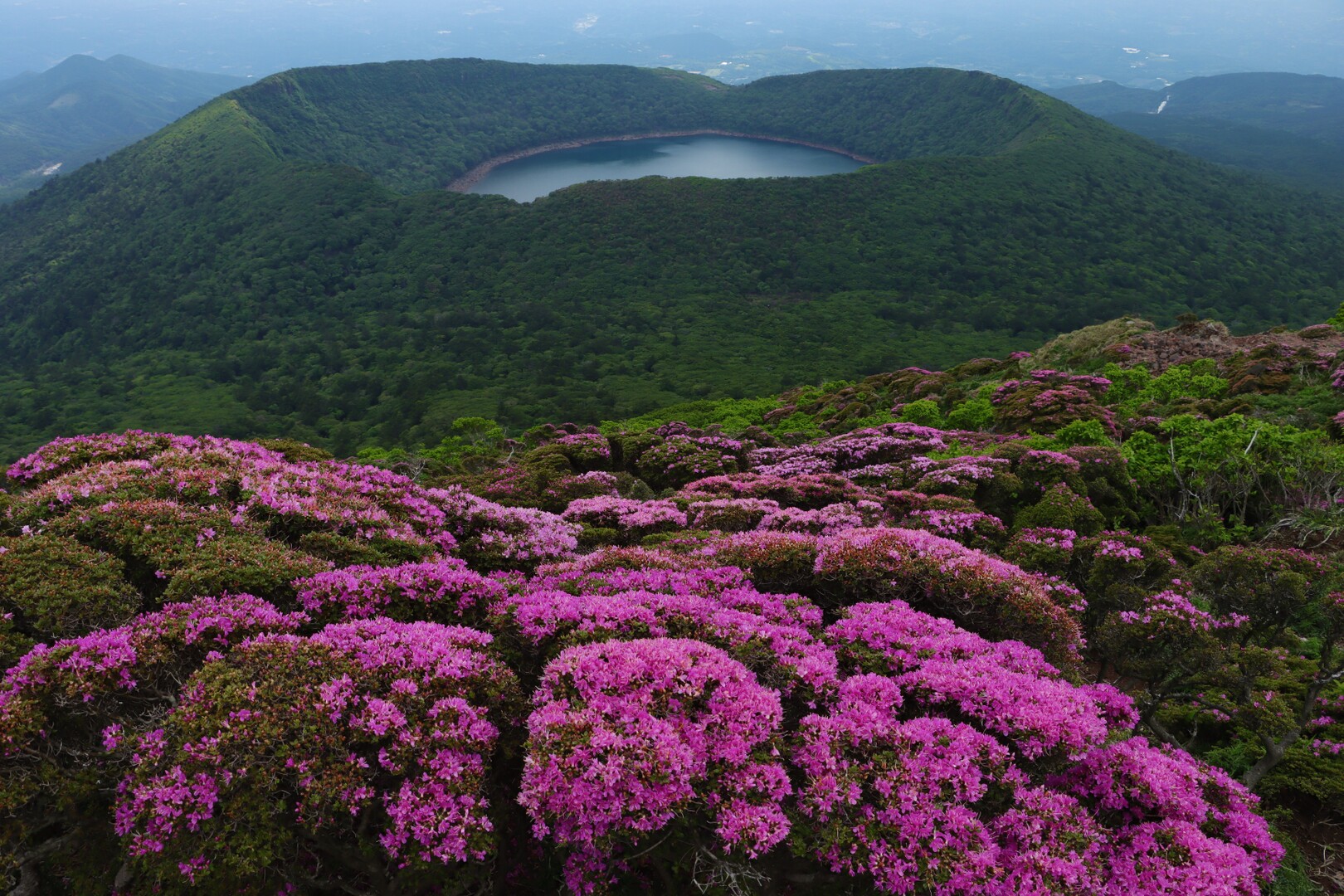【韓国岳】山頂（霧島山系）深山霧島（ミヤマキリシマ）【令和四年】2022年6月7 / RIKA19840127さんの霧島山・韓国岳・高千穂峰 ...