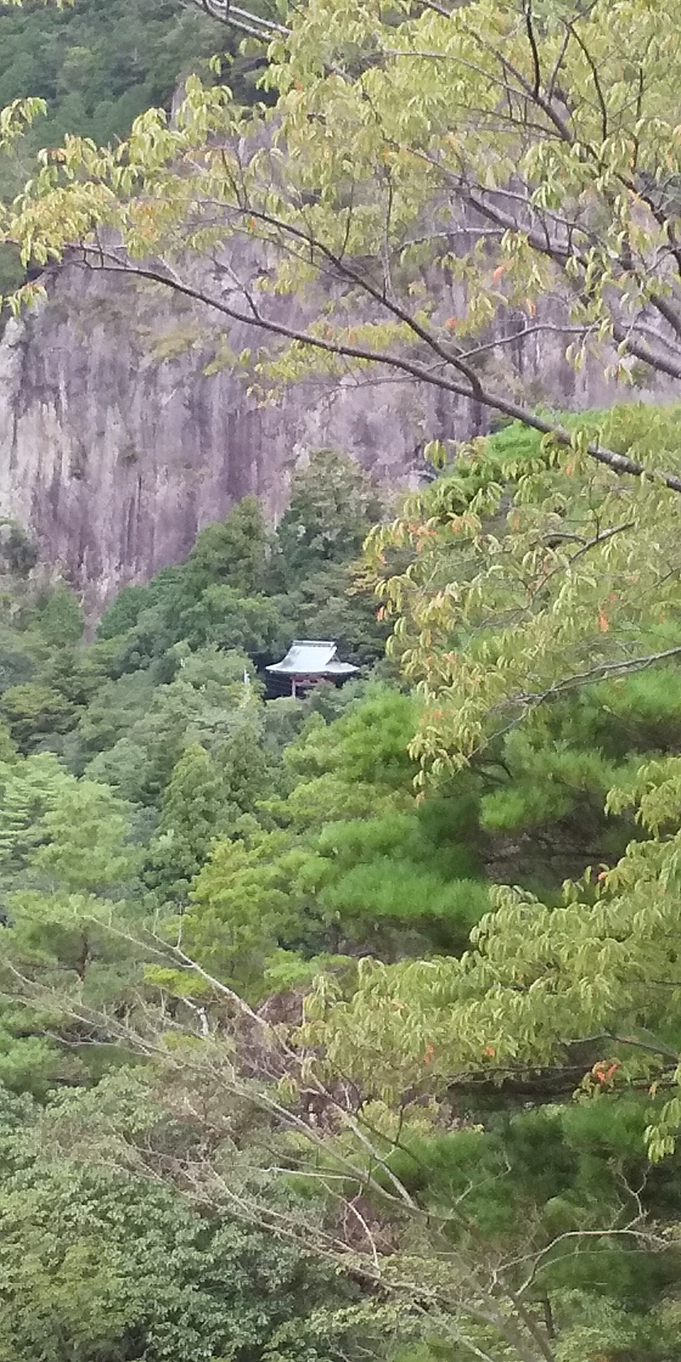 新日本百名山 鳳来寺山 19 09 19 Yokkoさんの宇連山 鳳来寺山 岩古谷山の活動データ Yamap ヤマップ