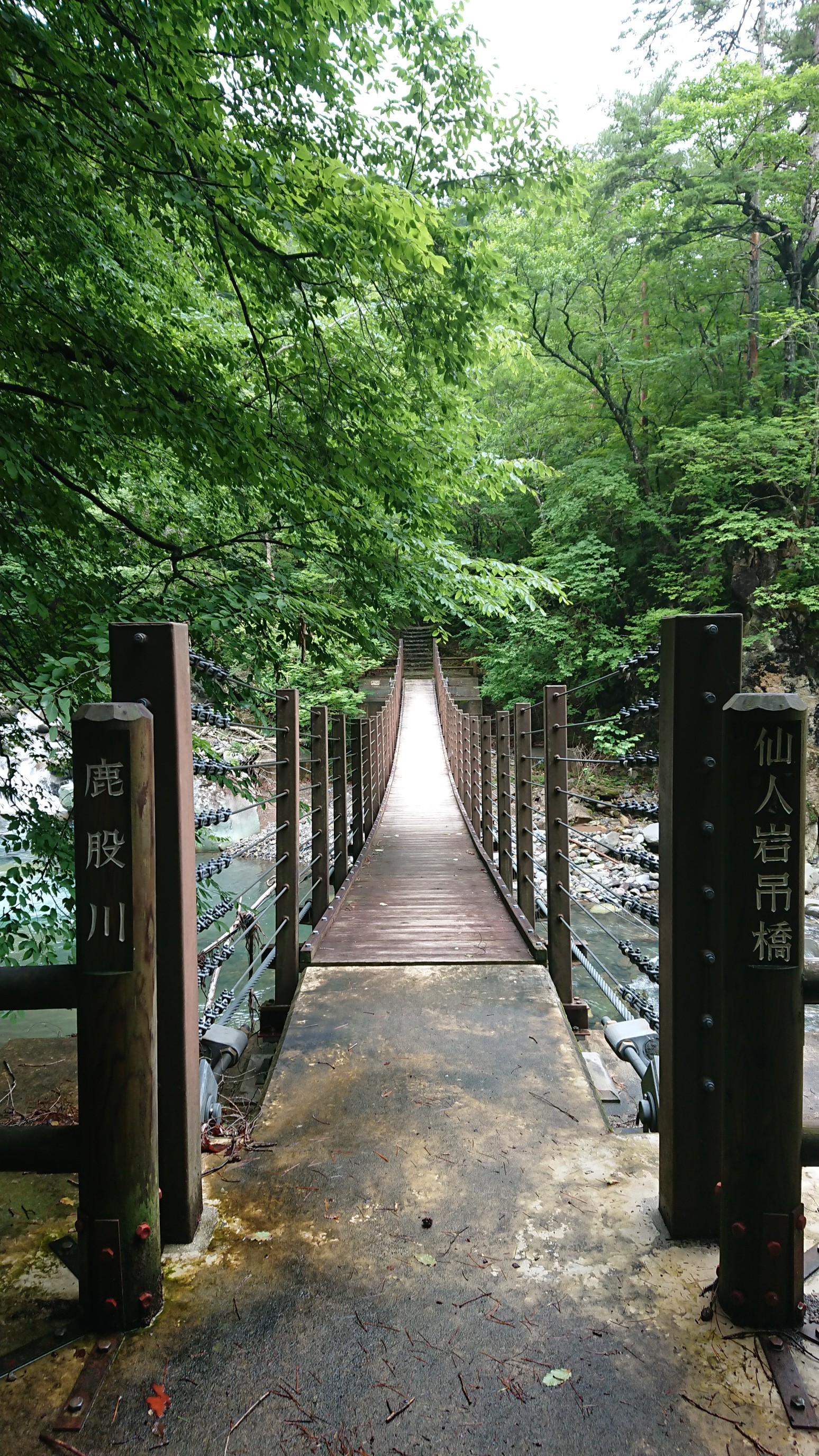 塩原温泉ビジターセンター 仙人岩吊橋 小太郎ヶ渕 須巻 山ゆりの吊橋 七ツ岩吊橋 休憩者さんの新湯富士 塩原富士山 前黒山の活動データ Yamap ヤマップ