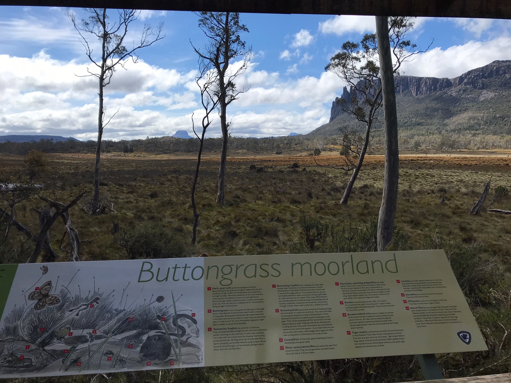 タスマニア島 オーバーランド トラック 3日目 Oshimoさんのオーバーランド トラック 北部の活動日記 Yamap ヤマップ