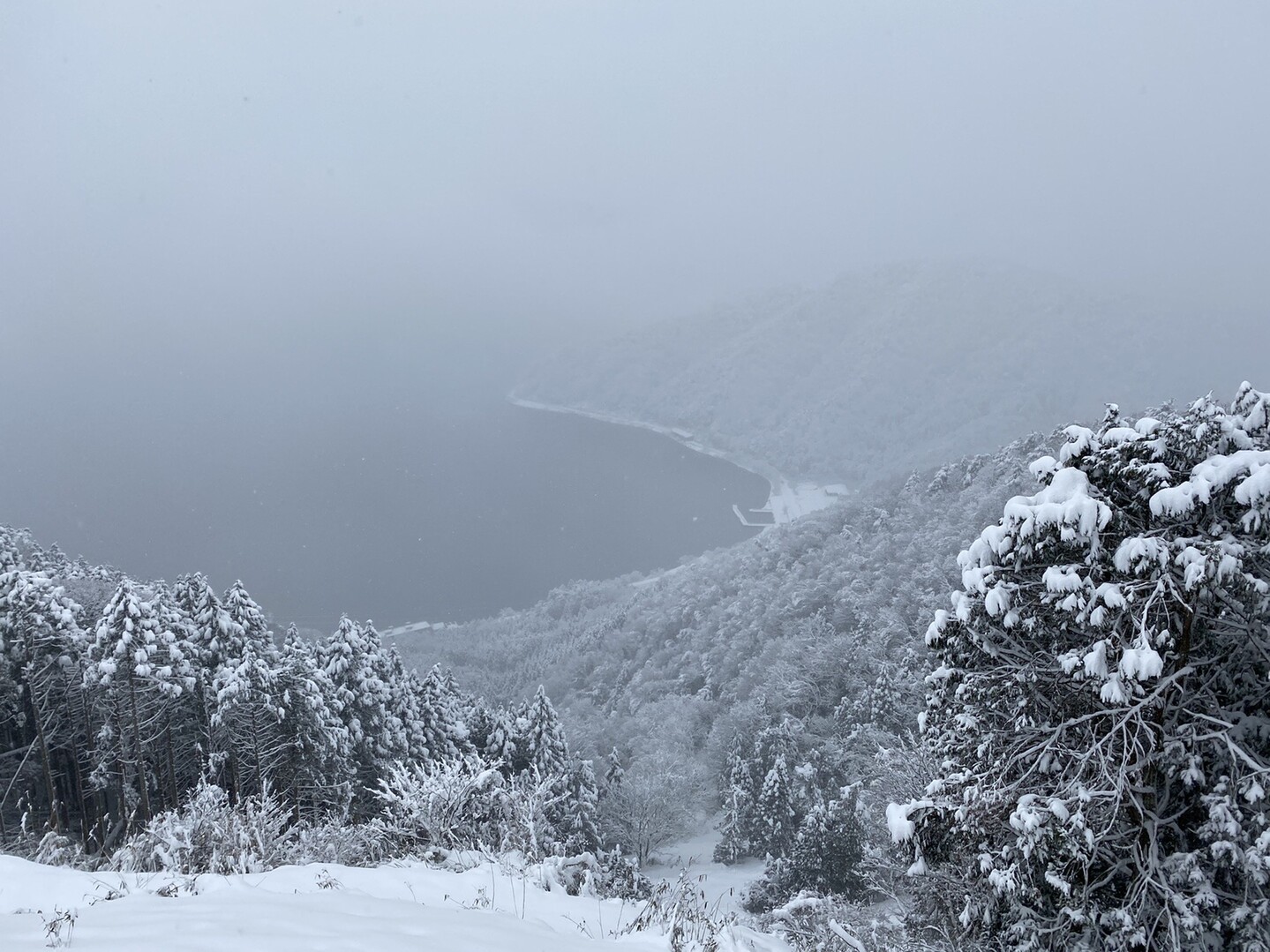 賤ヶ岳 余呉湖 雪景色 登り納め 夕さんの賤ヶ岳 山本山の活動データ Yamap ヤマップ
