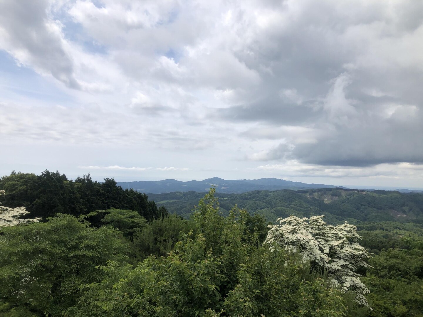 土岳 / りょーたさんの土岳・花貫渓谷・竪破山の活動データ YAMAP / ヤマップ