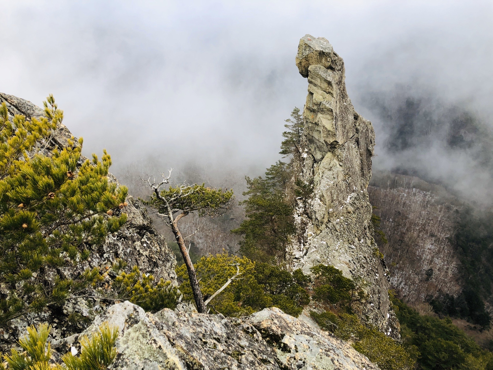 271座目 三才山 烏帽子岩ほか 一雄さんの三才山 戸谷峰の活動日記 Yamap ヤマップ
