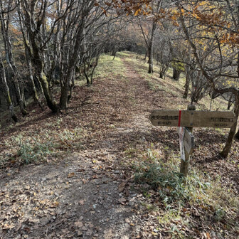 夜叉神駐車場へ。