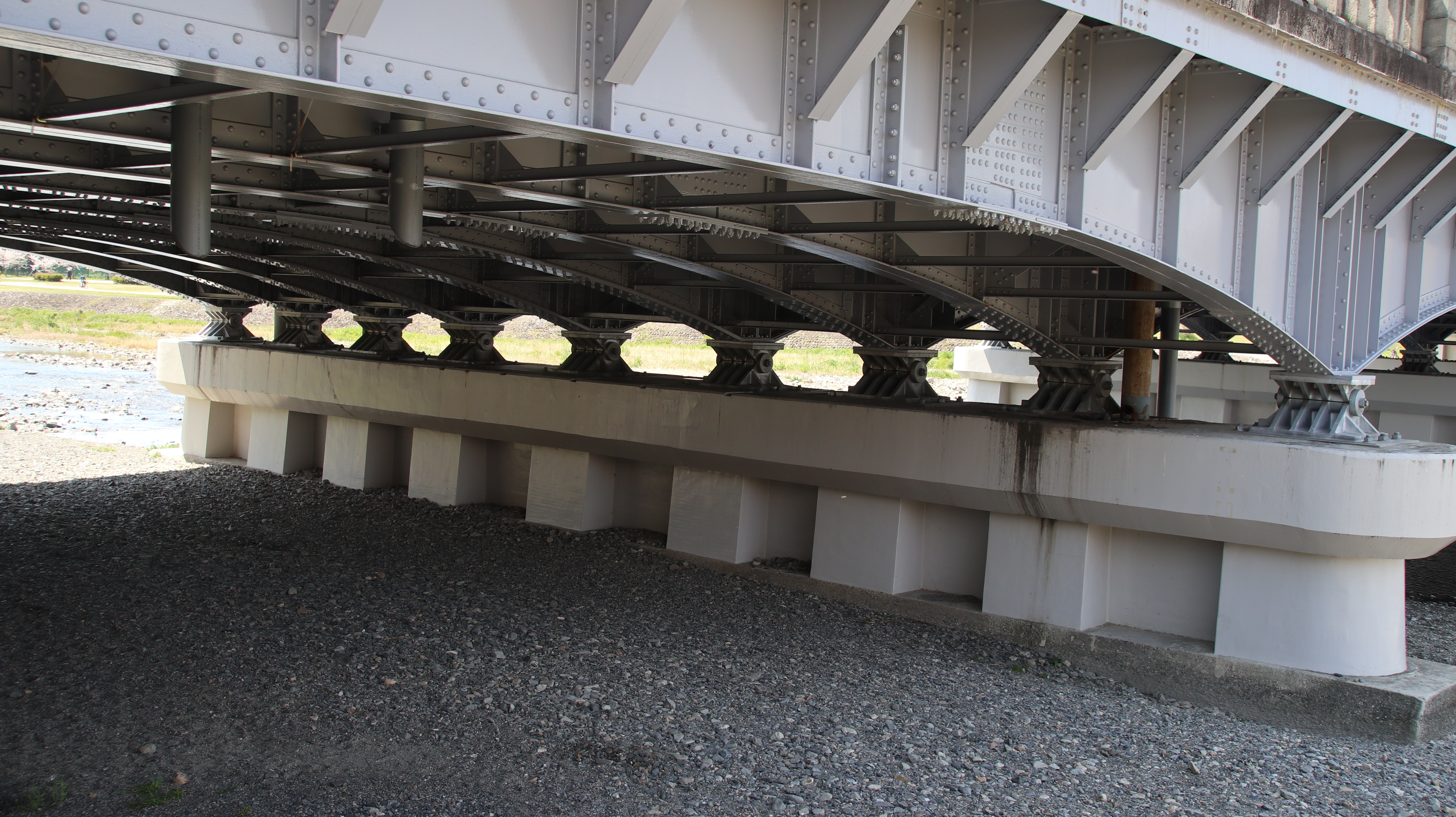 京都鴨川の桜並木を歩く かみやんさんの京都市の活動日記 Yamap ヤマップ