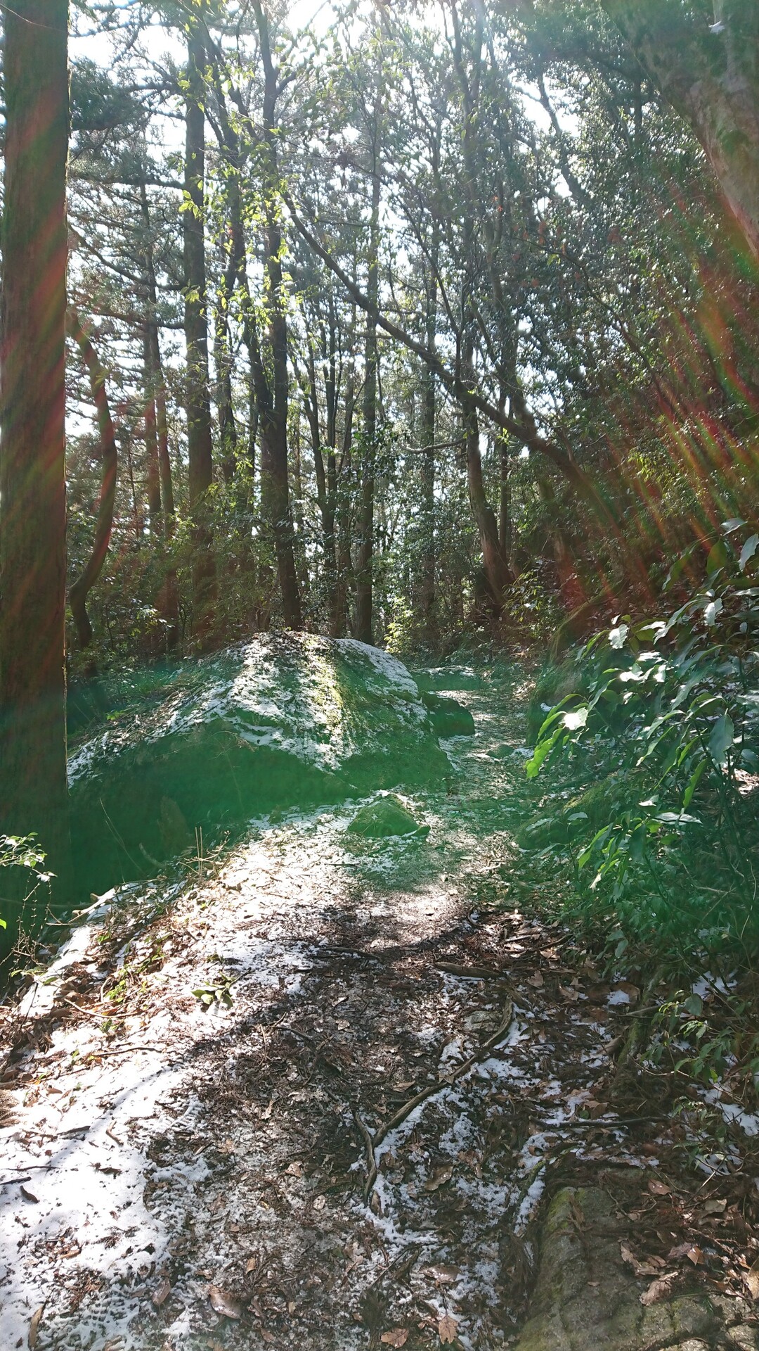 I Love 宝満山 初雪山初ソロで宝満山 宝満山 三郡山 若杉山の写真43枚目 とか言ってたら縁起の良い緑の光 龍神 写 Yamap ヤマップ