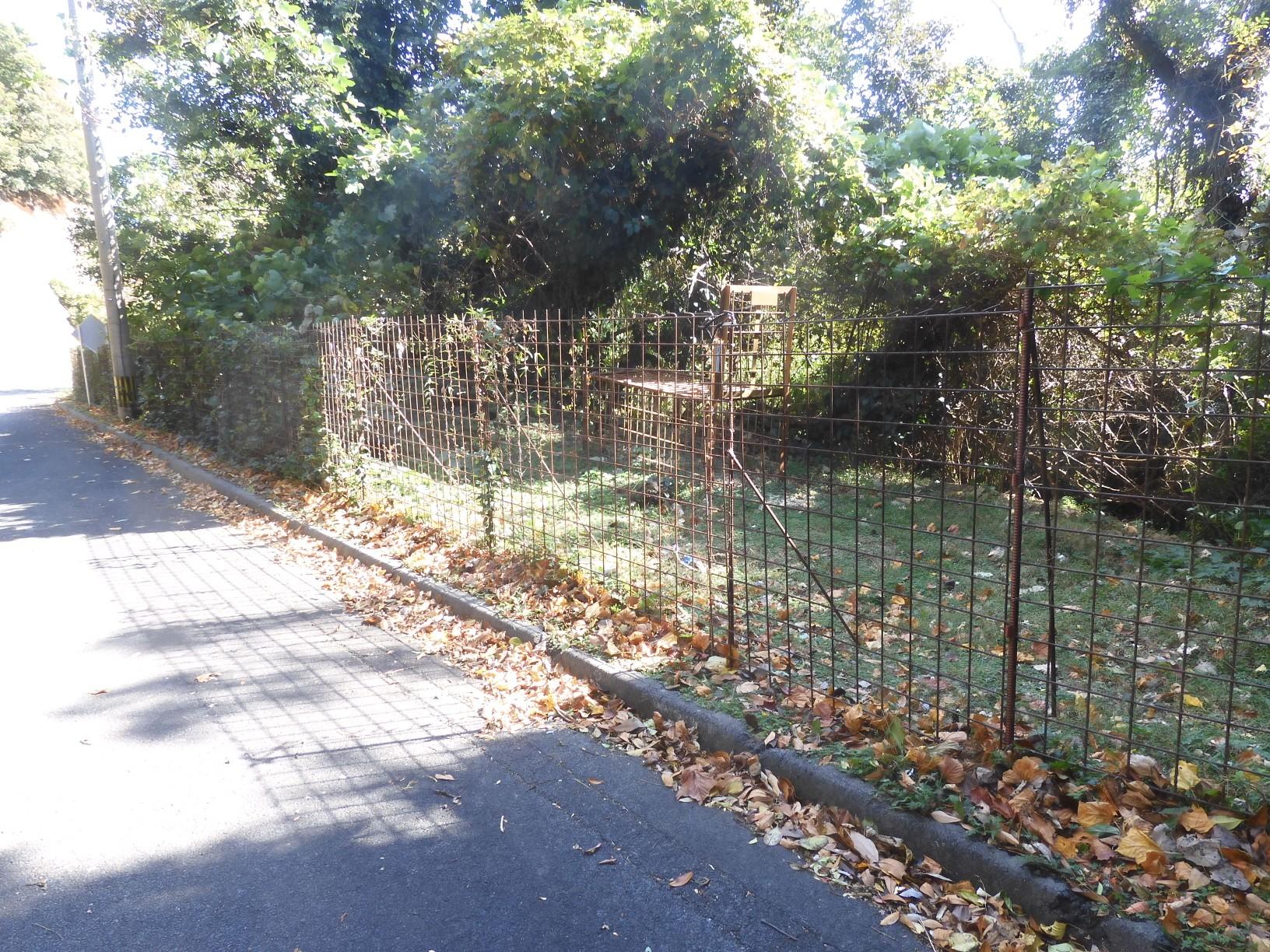 汐池峠の水晶岳登山口より右の防獣柵を開けて水晶岳へ...