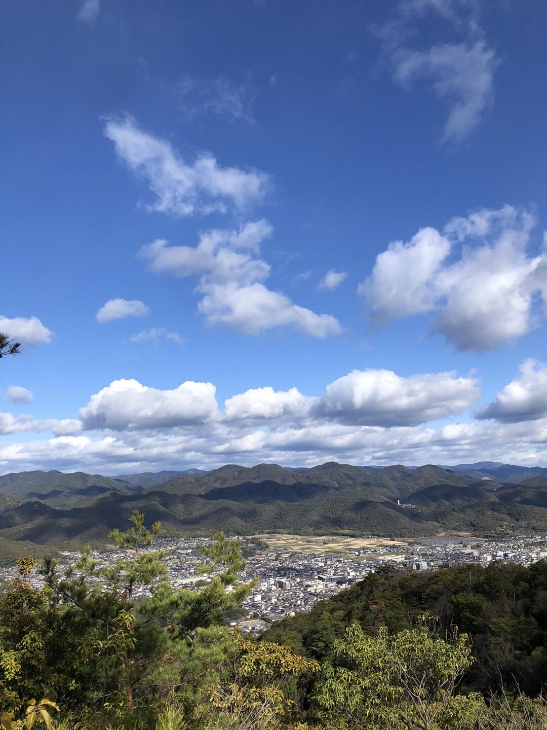 松尾山 / わんわんさんの沓掛山・みすぎ山・唐櫃越の活動データ YAMAP / ヤマップ