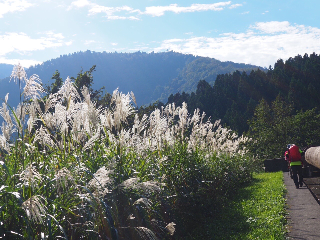 5年ぶり2回目の高頭山 / tomotaroさんの高頭山の活動データ YAMAP / ヤマップ