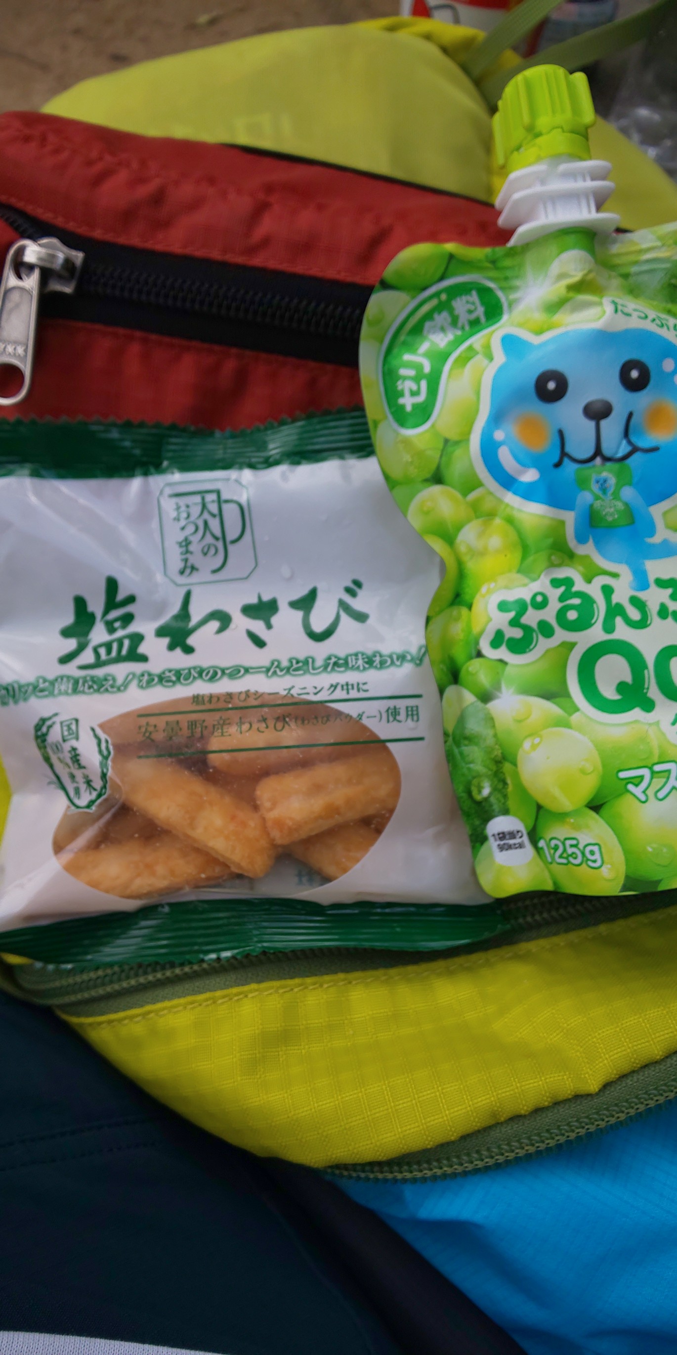 金剛山 天ヶ滝新道 Kayo さんの金剛山 二上山 大和葛城山の活動日記 Yamap ヤマップ