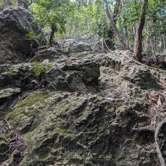 昨日の行者尾根が可愛く感じるくらいの岩岩激下り