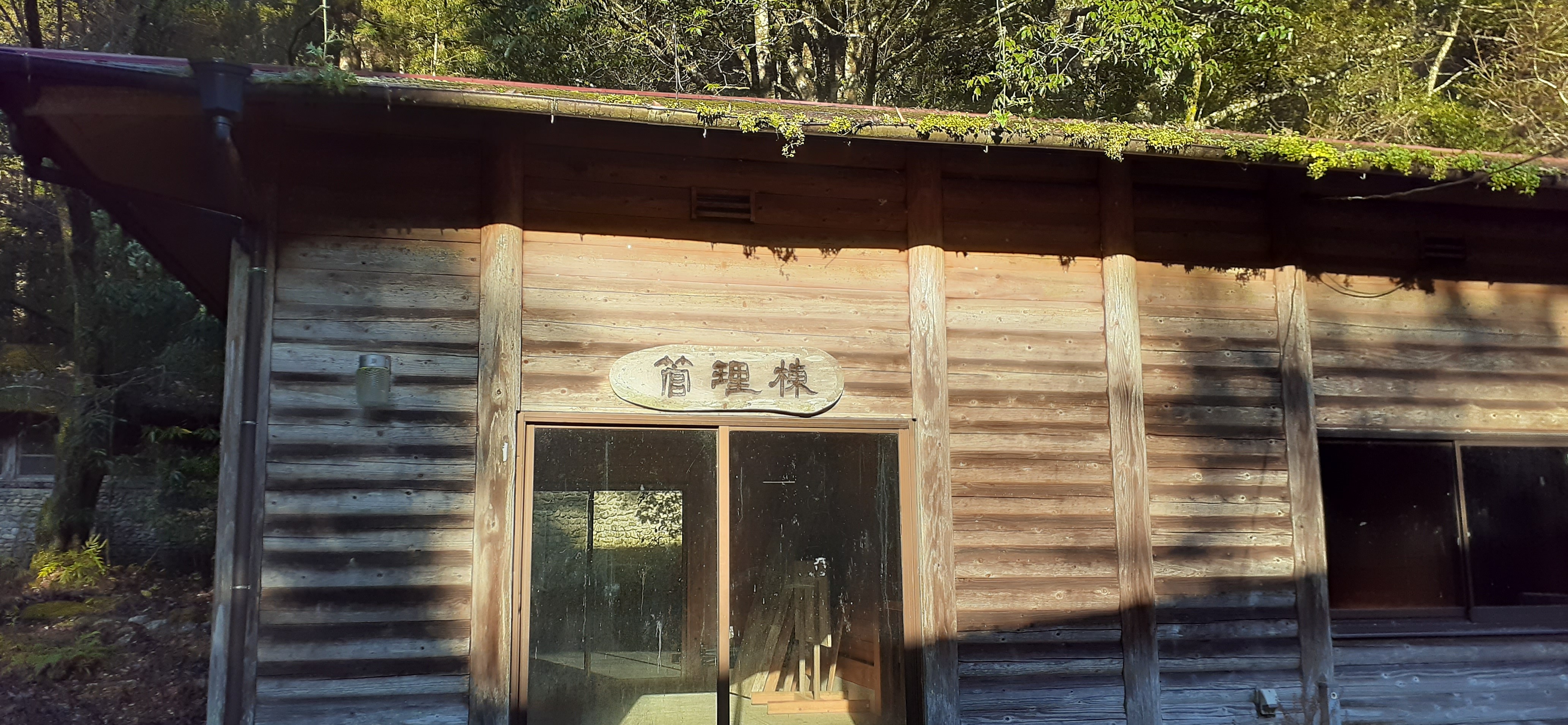 川中神社と綾の照葉樹林散策 道なき道を行くの巻き きょーちゃんさんの綾町の活動データ Yamap ヤマップ