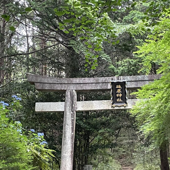 ありがとうございました♪
また来ても良いよ、、って言ってくれました。🤗