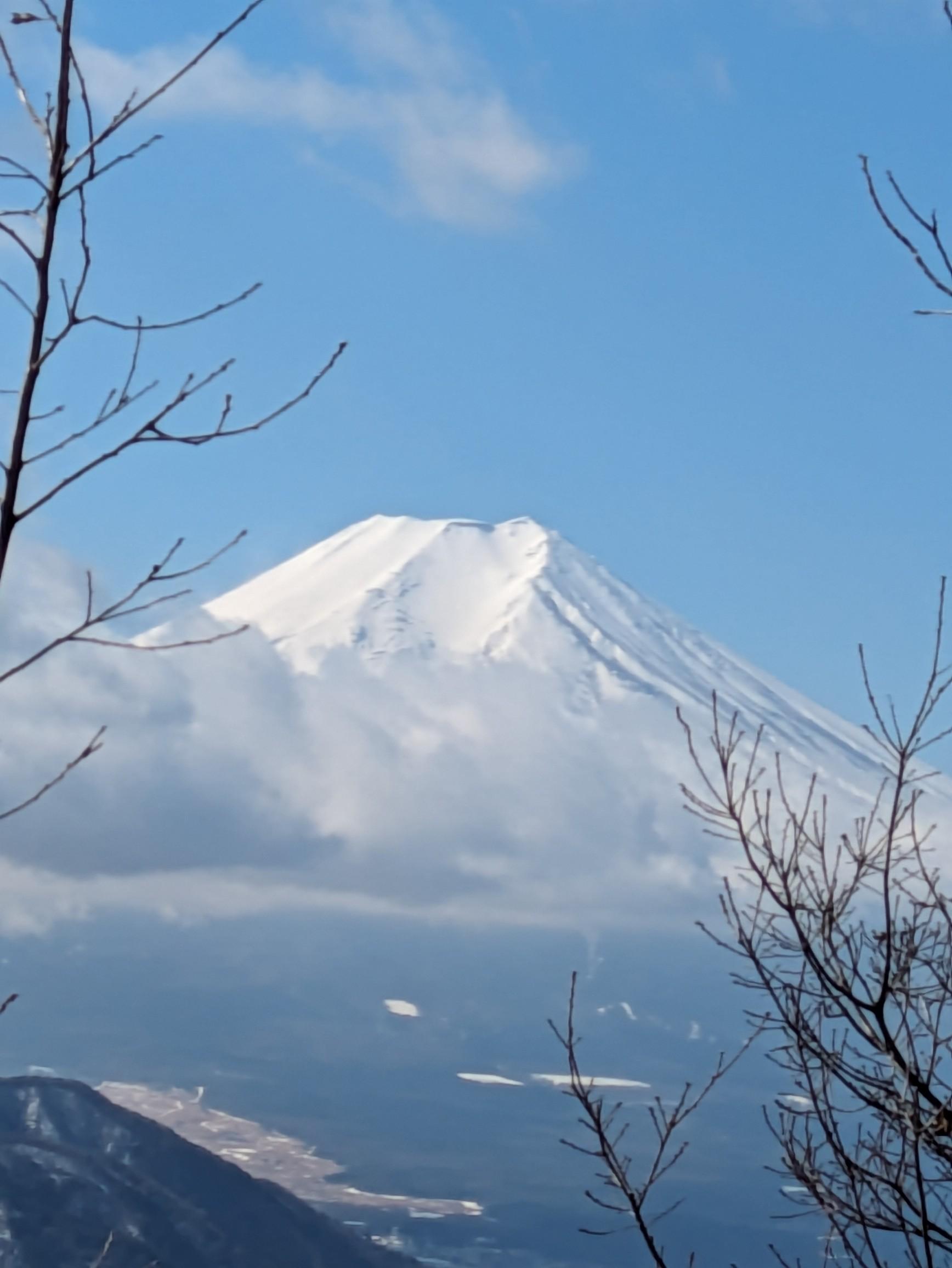 高川山とつるビーと私 / めぐりさんの高川山の活動データ YAMAP / ヤマップ
