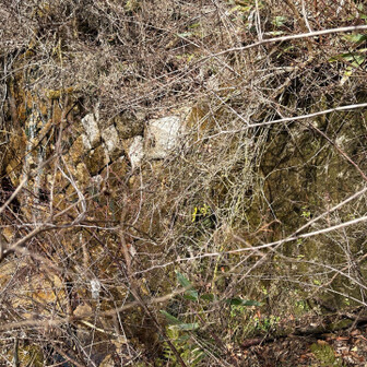 六甲山・長峰山・摩耶山 ボロボロの谷止工
➡️