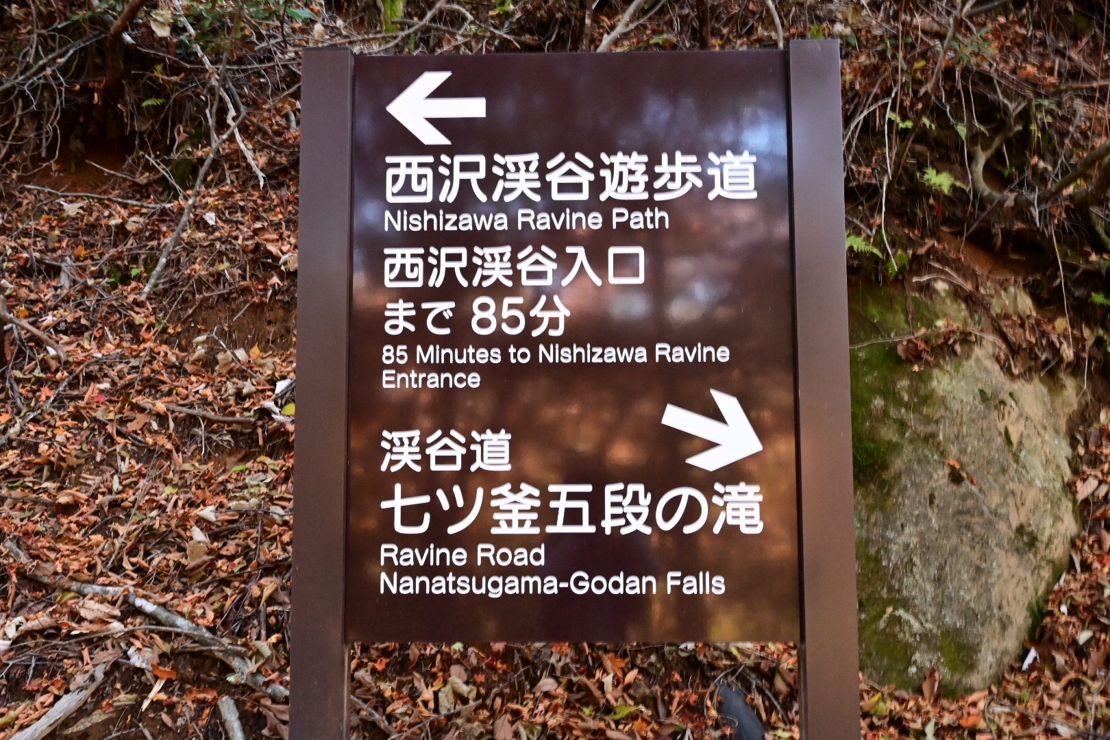 西沢渓谷 美しい紅葉の写真を撮りたくて 19 11 08 ふくちゃんさんの甲武信ヶ岳の活動日記 Yamap ヤマップ