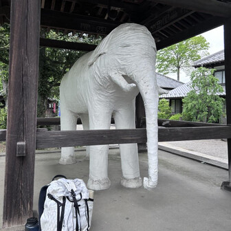 太樹のページ YAMAP / ヤマップ