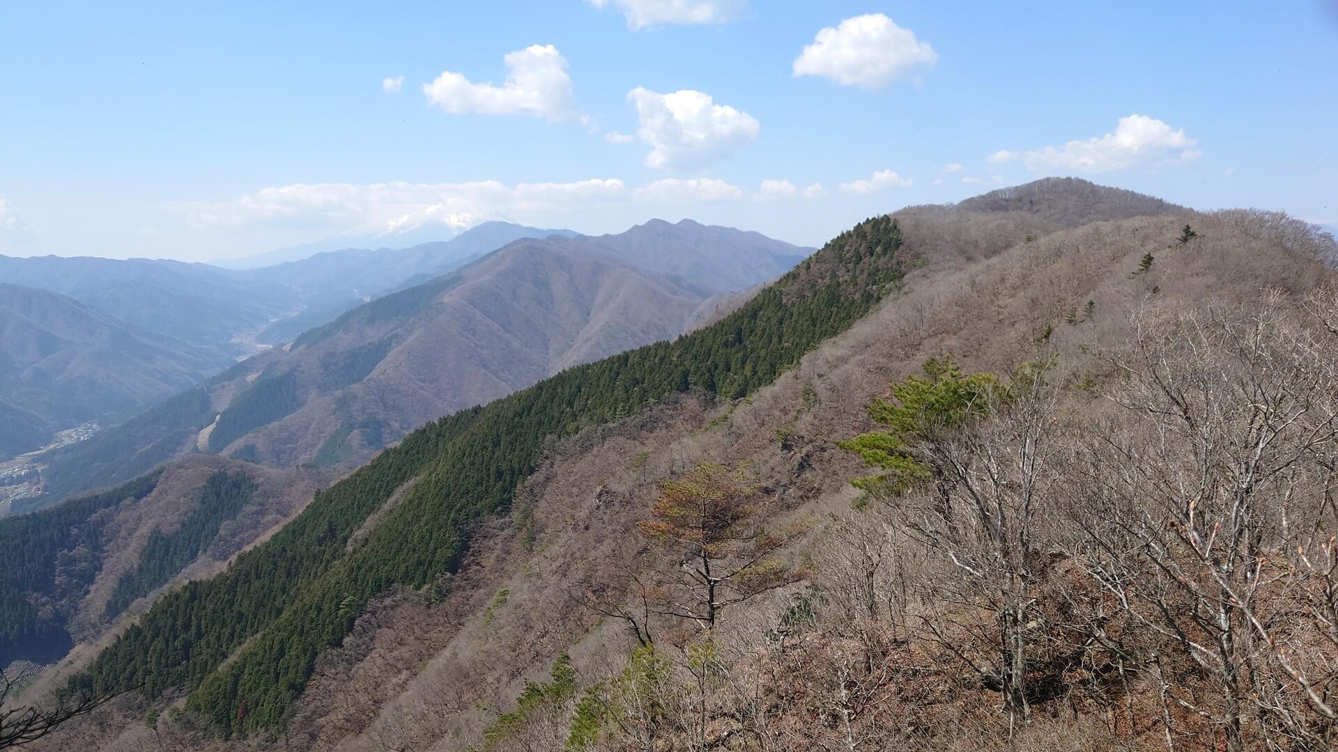 陽春探訪「道志山塊」未踏ピーク「赤鞍ヶ岳（ワラビタタキ）」 / ふくやまさんの大室山・畦ヶ丸山・菰釣山の活動データ YAMAP / ヤマップ