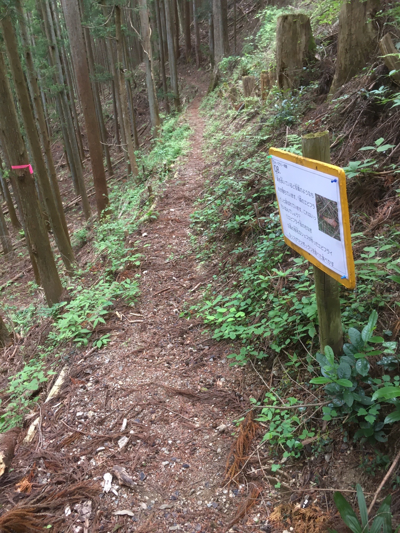 100人のふんどし Campfire キャンプファイヤー