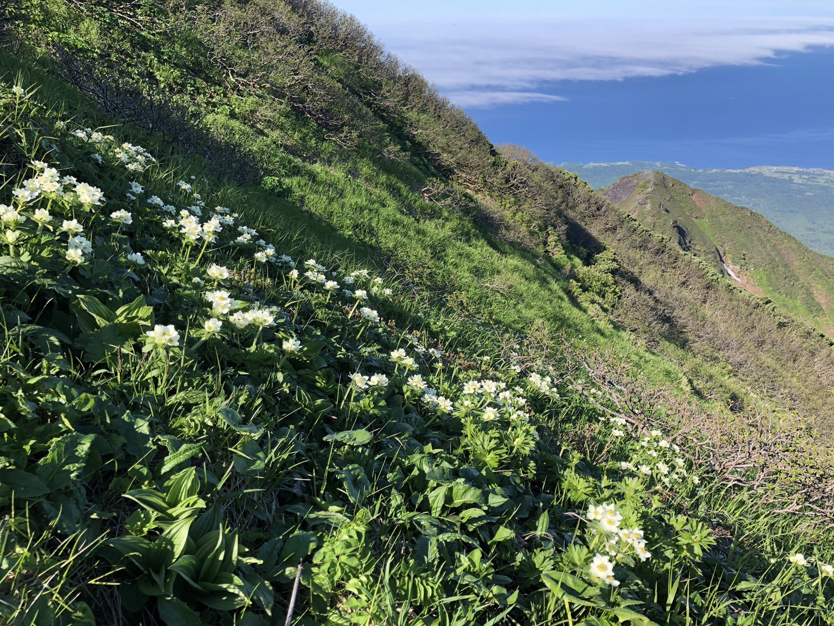 利尻山 鴛泊から沓形へ みわたんさんの利尻島 利尻山の活動データ Yamap ヤマップ