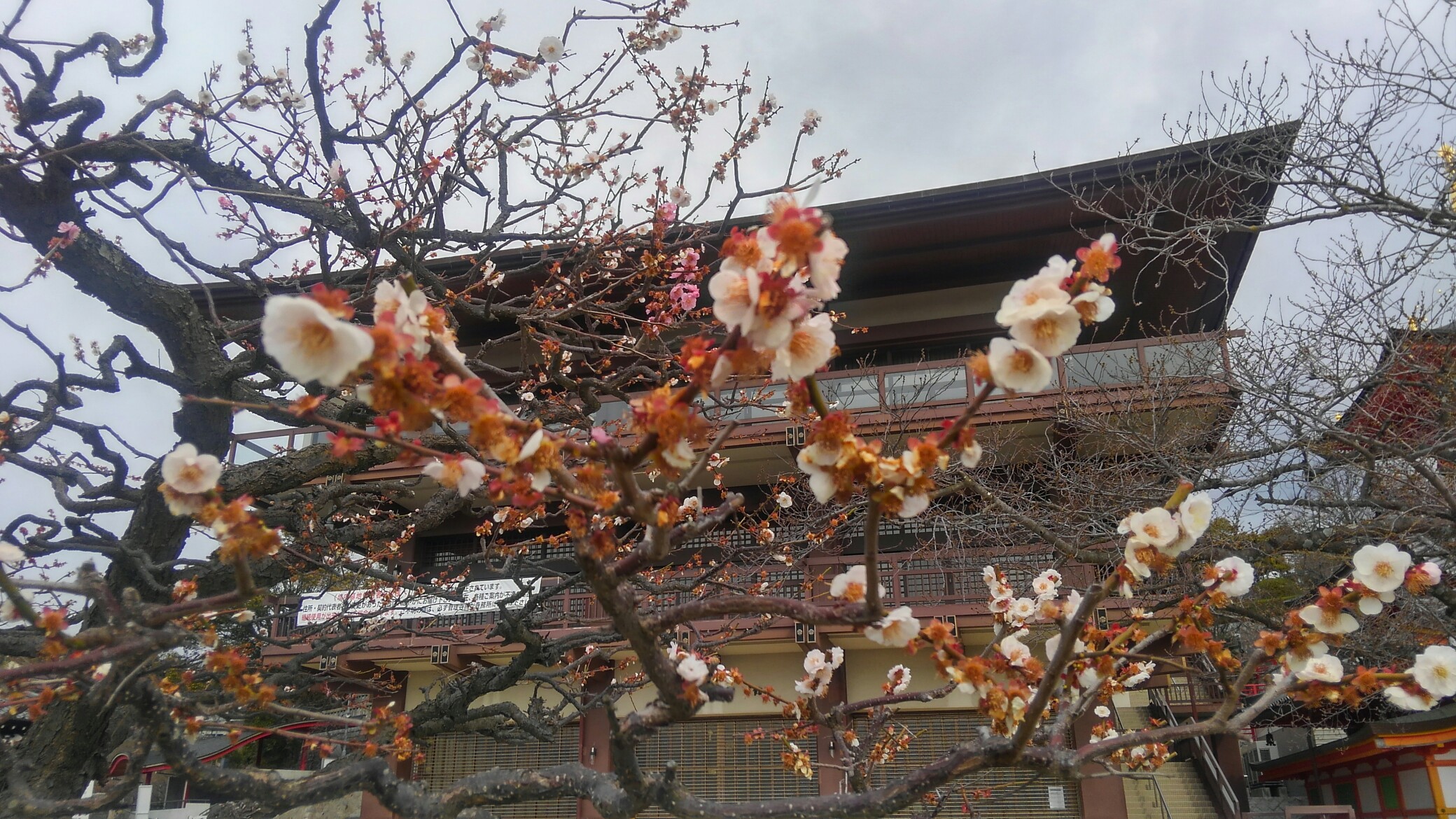 中山寺 奥の院 中山最高峰 大峰山 武田尾 畑熊商店 Jr武田尾駅 わさびさんの中山 大峰山の活動日記 Yamap ヤマップ
