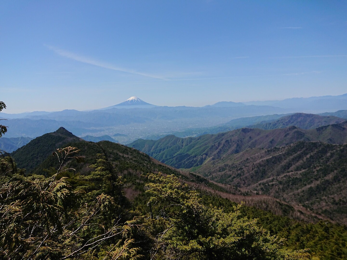 黒金山・乾徳山 / ありちゃんさんの乾徳山・黒金山の活動データ YAMAP / ヤマップ