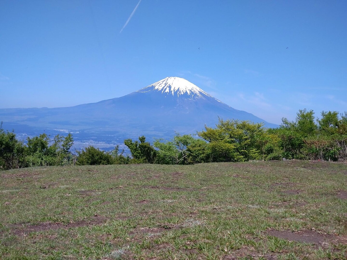 矢倉岳 ※また、真似しないでください。。。 / なおこさんの矢倉岳の活動データ YAMAP / ヤマップ