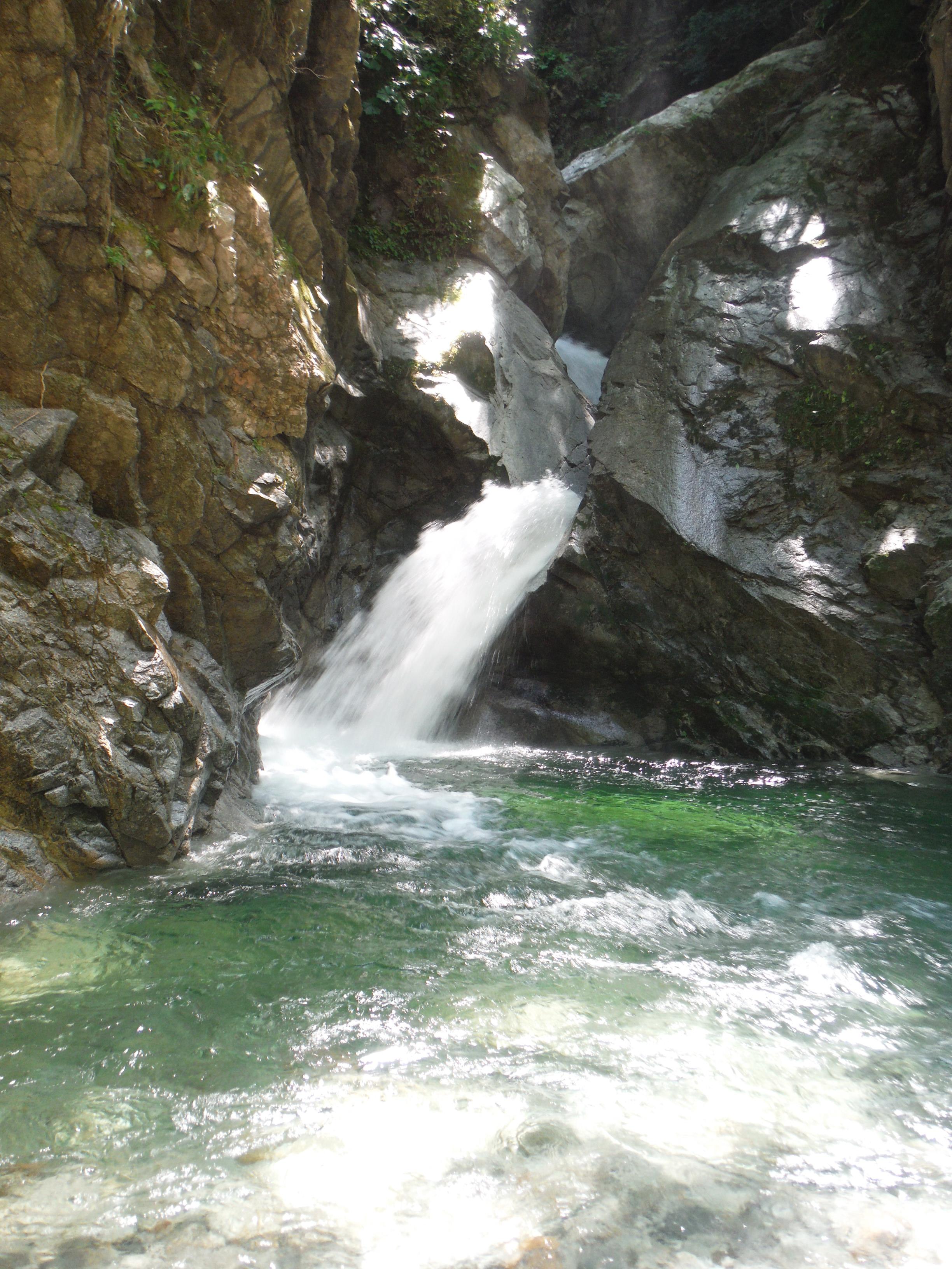 d26da996-304d-4130-a847-