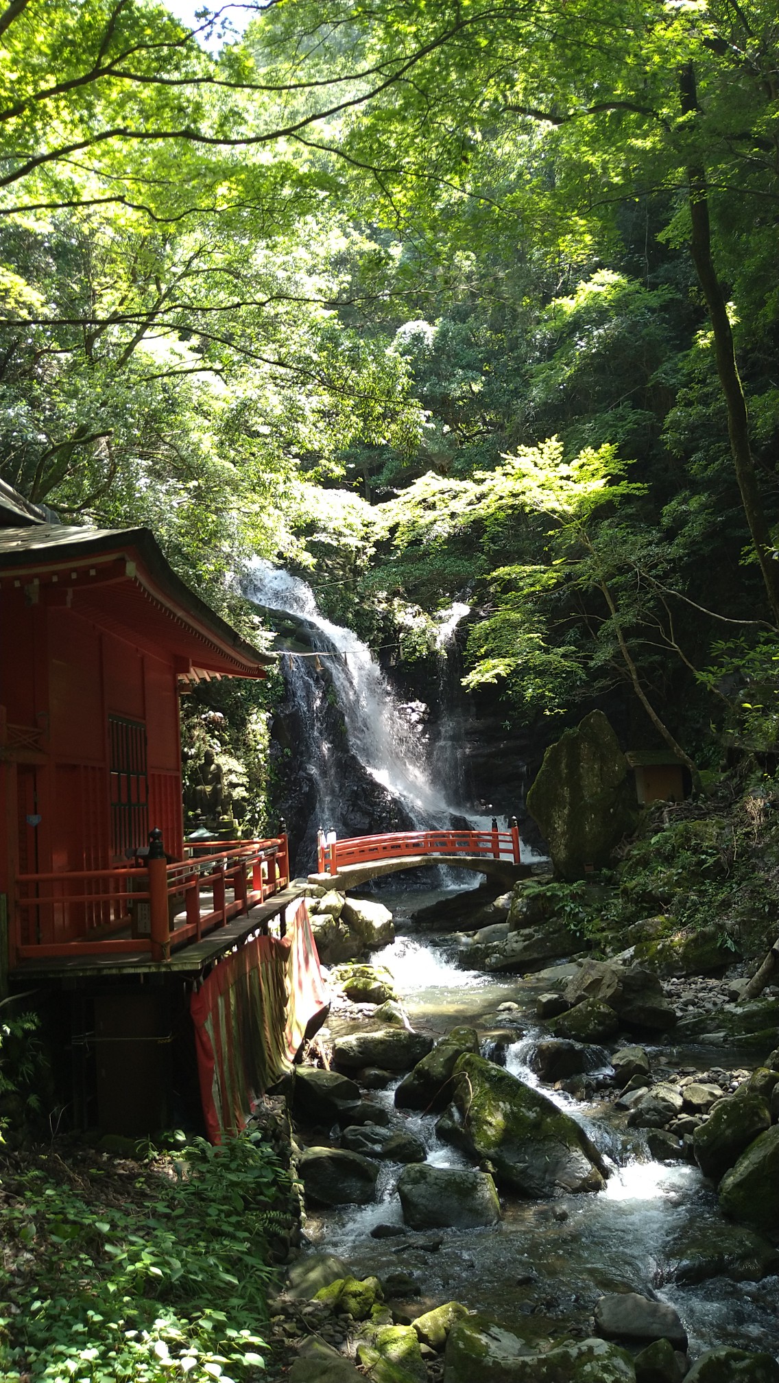 ハイ ランド パーク 粉河 19 テーマパークの満足度リサーチ結果 Docstest Mcna Net