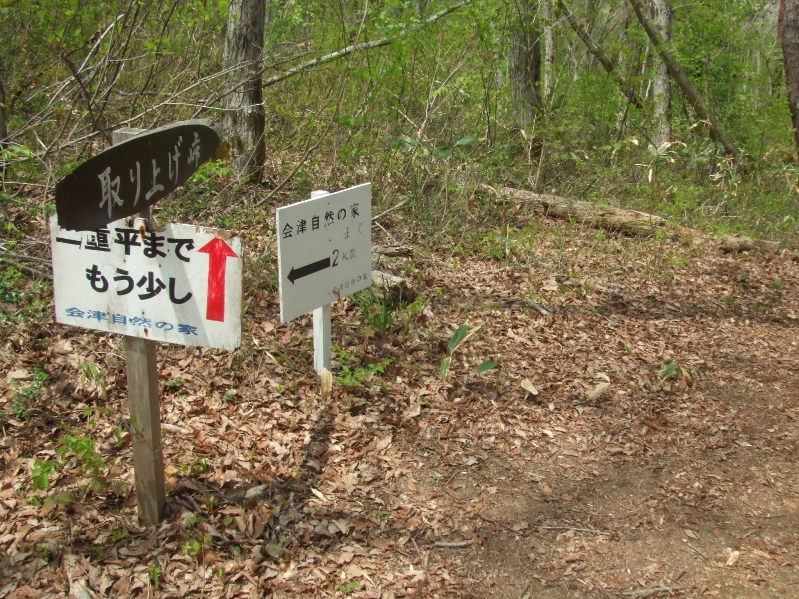 福島県会津坂下町 高寺山 / ぽんすけぽんさんの西会津町の活動日記 