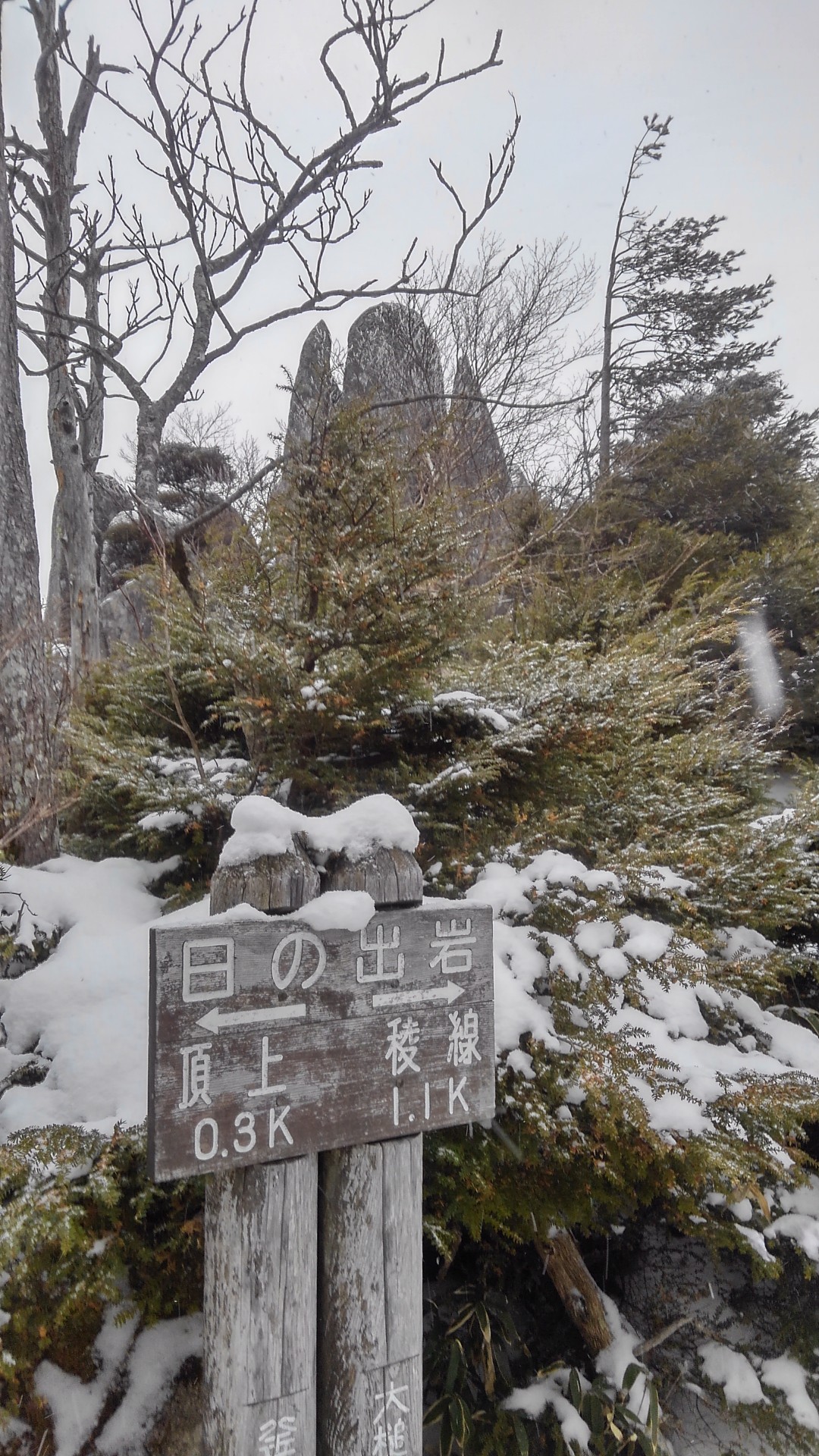 五葉山で小屋泊 かねやんさんの五葉山 愛染山の活動データ Yamap ヤマップ