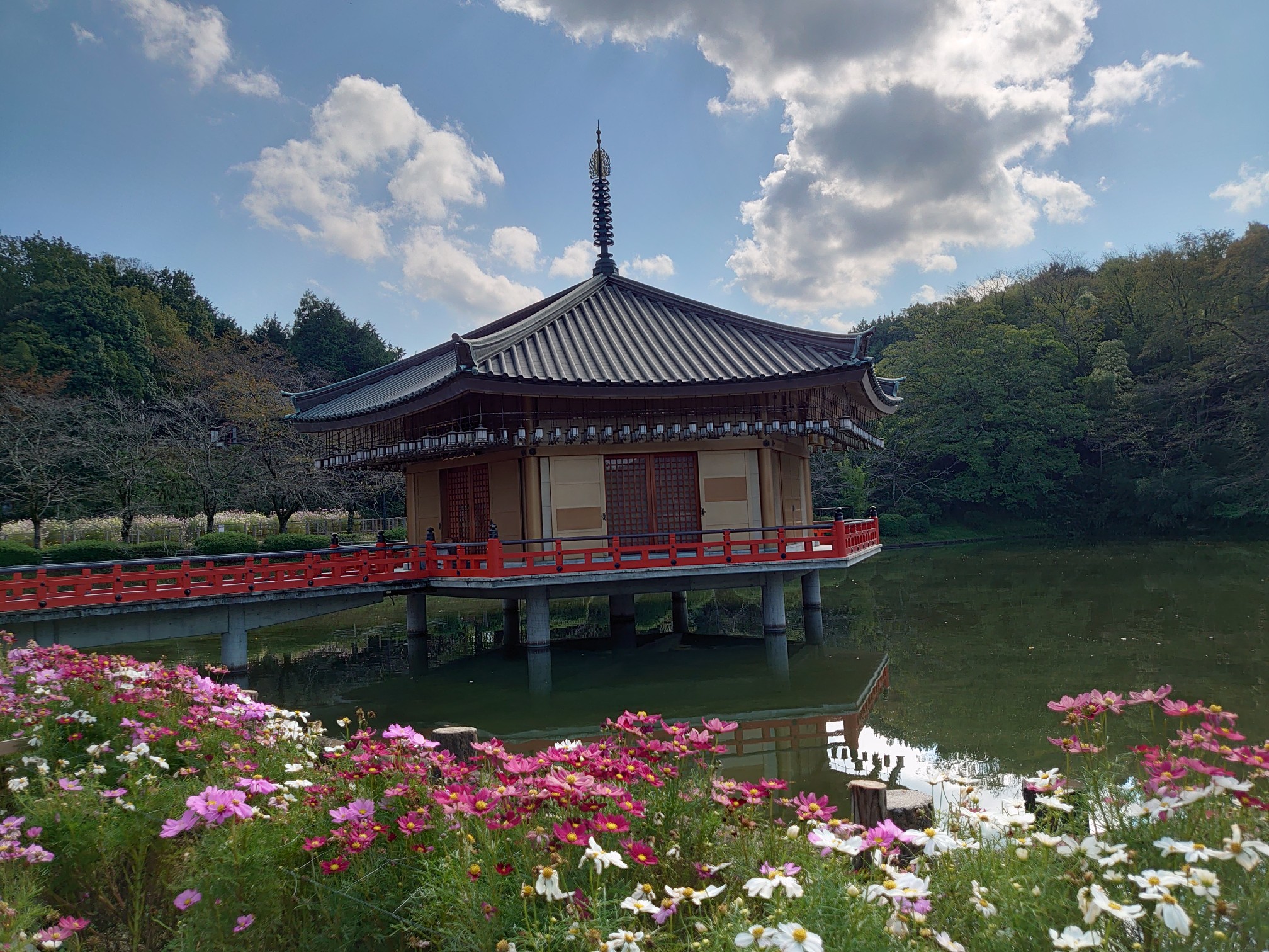 安倍文殊院のコスモス 耳成山 丸子さんの大和三山 天香久山 畝傍山 耳成山 の活動データ Yamap ヤマップ