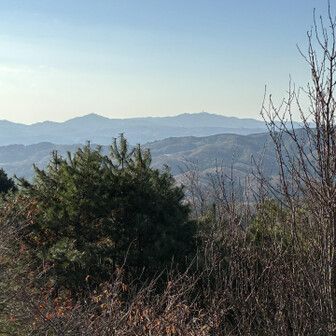 筑波山と宝篋山？