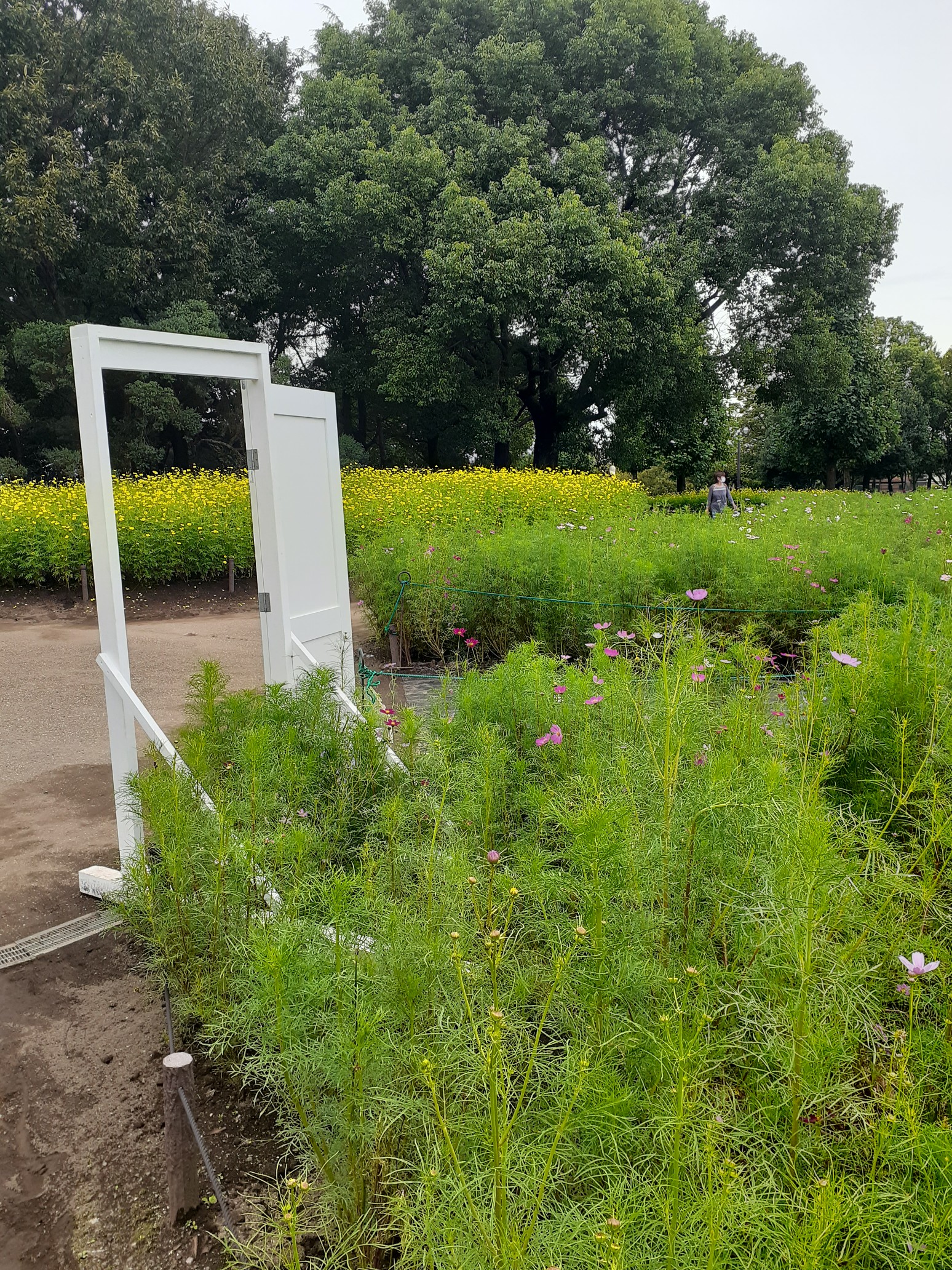 国営木曽三川公園 多度山からの帰宅途中に たくさんのモーメント Yamap ヤマップ