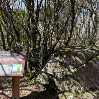  走らされるトレイル🏃‍♂️
そのあと蛤岳まで登り⛰
ももがっ…危うい😇
脊振の登りまで持つかな…