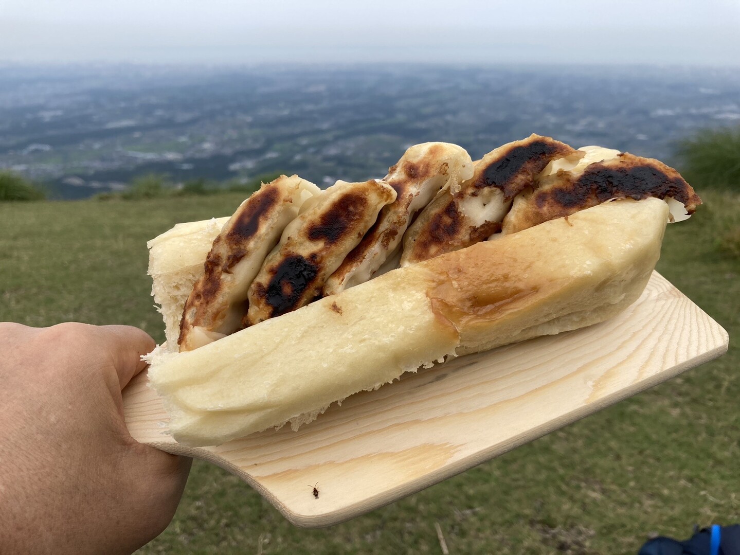 餃子ドッグ ひでさんの入道ヶ岳 鎌ヶ岳 仙ヶ岳の活動日記 Yamap ヤマップ